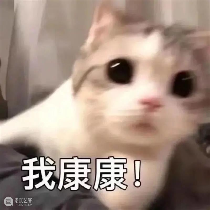 菅田将晖小松菜奈结婚;TVB发布2022年片单 菅田将晖 小松菜奈 TVB 片单 影视 好剧 小豆 资讯 豆瓣 电影 崇真艺客