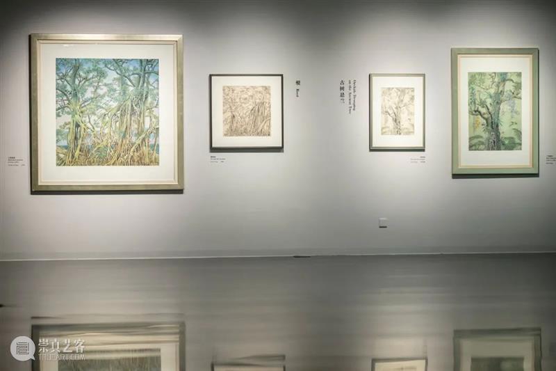 新展今日亮相 | 祝大年的写生与创作:取精微
抒广大 祝大年 海报 前言 刘巨德 枣树 枝丫 真骨 密密 扎扎 华冠 崇真艺客