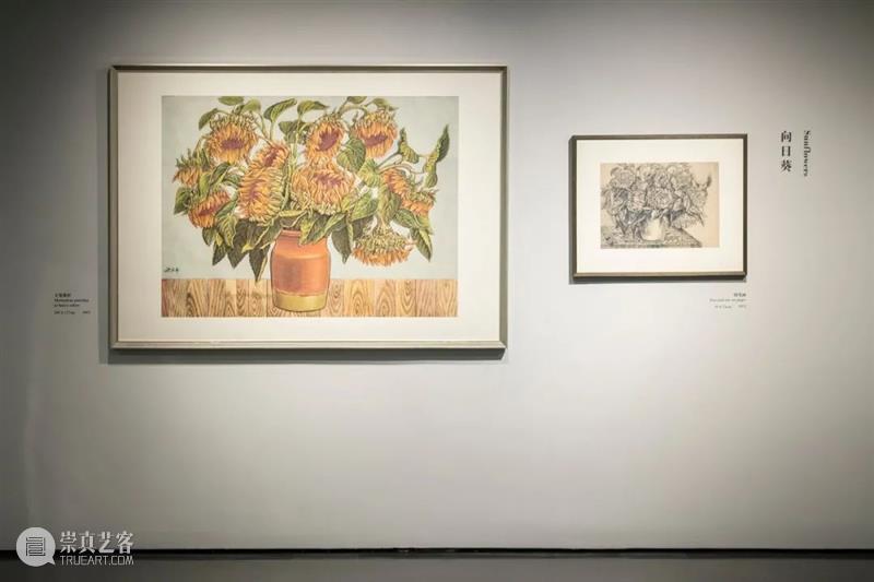 新展今日亮相 | 祝大年的写生与创作:取精微
抒广大 祝大年 海报 前言 刘巨德 枣树 枝丫 真骨 密密 扎扎 华冠 崇真艺客