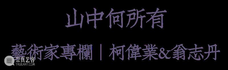 【山中】艺术家专栏 ｜  柯伟业&翁志丹 视频资讯 空间站 艺术家 专栏 翁志丹 山中 柯伟业& 山中何所有 林海钟 学生们 山水 作品 崇真艺客