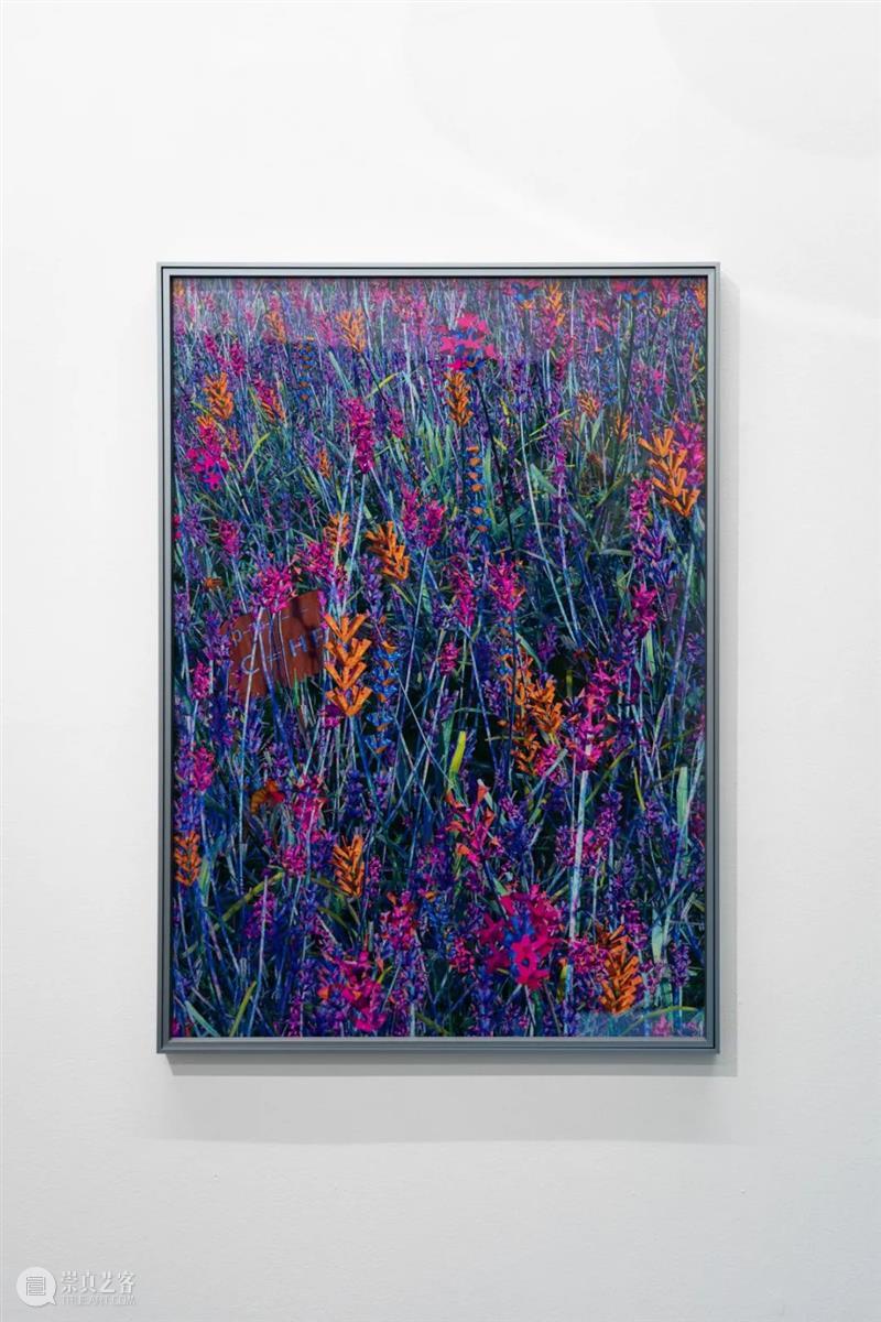 展览现场 | 朱昶全个展“向上一指” 朱昶 个展 现场 展期 地点 上海 莫干山路50号4号楼 ChangquanDuration Vanguard Gallery 崇真艺客