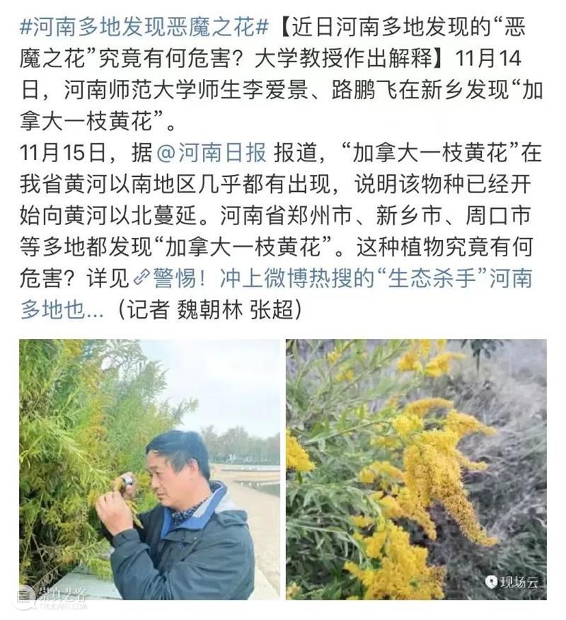 隐藏的危机，地表最恐怖的入侵物种是谁？ 物种 地表 危机 河南 恶魔之花# 话题 微博 人们 视野 黄花 崇真艺客