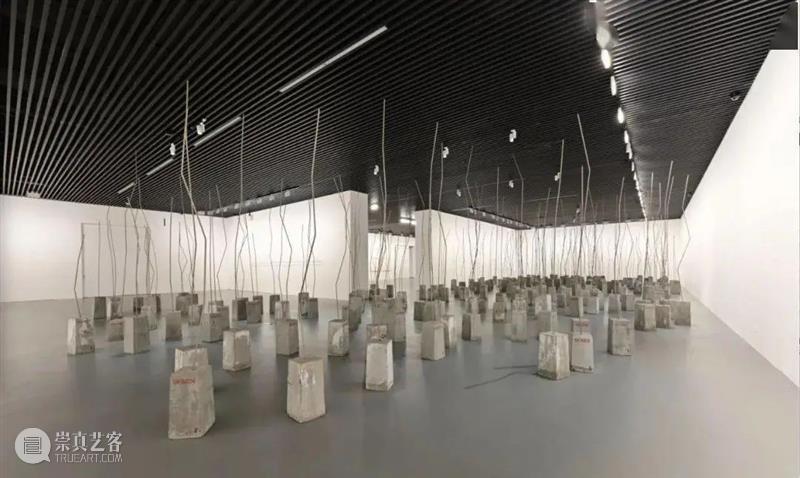 Powerlong Camp | 为期5天的艺术品讲解与公共艺术策划实践来了! Power Camp 艺术 艺术品 long Long 宝龙美术馆 青少年 儿童 项目 崇真艺客