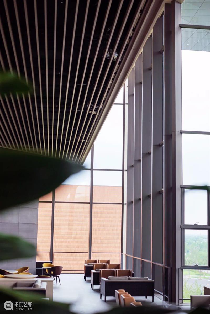 济宁市美术馆｜浓缩一杯热爱  咖啡制作初体验 咖啡 济宁市美术馆 人们 喝咖啡 文化 生活 时刻 办公室 社交 场合 崇真艺客