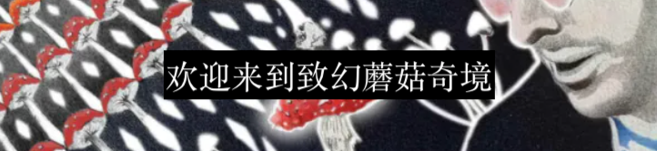 白雪公主确有其人,魔镜也确实诡异 白雪公主 魔镜 利维坦 药剂师 历史 学者 卡尔 海因茨 巴特尔斯 玛利亚 崇真艺客