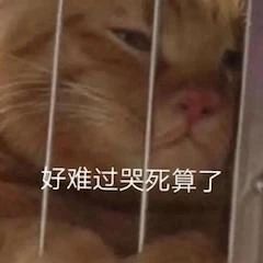 《蜘蛛侠》曝新预告集结三代反派;哈利波特主演将重聚庆祝20周年 哈利波特 主演 蜘蛛侠 预告 反派 影视 好剧 小豆 资讯 豆瓣 崇真艺客