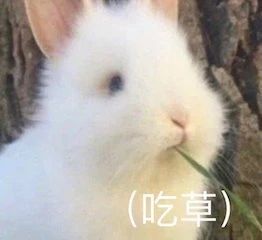 《蜘蛛侠》曝新预告集结三代反派；哈利波特主演将重聚庆祝20周年 哈利波特 主演 蜘蛛侠 预告 反派 影视 好剧 小豆 资讯 豆瓣 崇真艺客