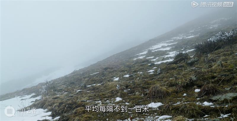 一个世纪前的年轻人，如何荒野求生？ 年轻人 上方 影院 页面 右上 星标 近些年 全球 野外 节目 崇真艺客