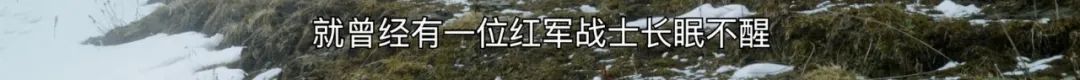 一个世纪前的年轻人，如何荒野求生？ 年轻人 上方 影院 页面 右上 星标 近些年 全球 野外 节目 崇真艺客
