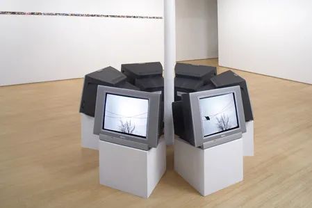 佩斯香港 | 妮娜·卡查杜里安个展「自然选择」本周四开幕 妮娜 卡查 杜里安 佩斯 香港 个展 植物 画廊 中环 皇后大道 崇真艺客