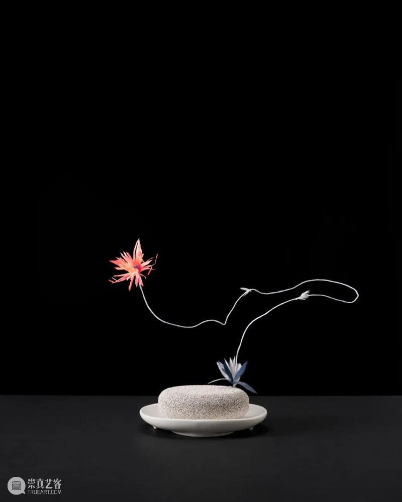 佩斯香港 | 妮娜·卡查杜里安个展「自然选择」本周四开幕 妮娜 卡查 杜里安 佩斯 香港 个展 植物 画廊 中环 皇后大道 崇真艺客