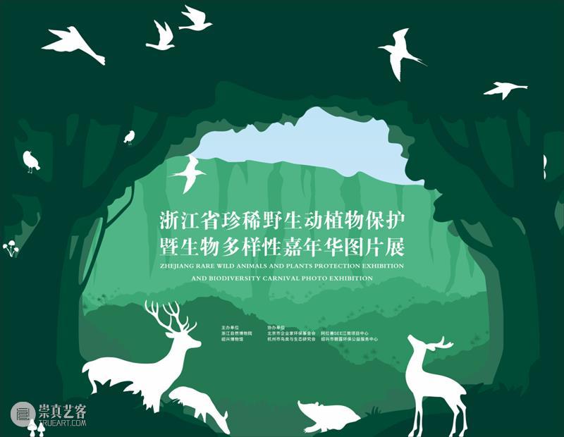【江浙沪】11月份有什么好看的展览？（第三期） 崇真艺客