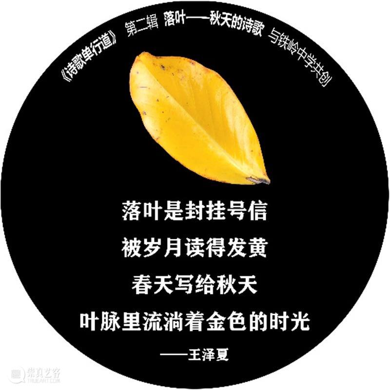 落叶与诗句一起“飘落”,四平路这条“诗歌单行道”登上热搜 诗歌 单行道 落叶 诗句 四平路 SUSAS 城市空间 艺术季 四平社区 艺术 崇真艺客
