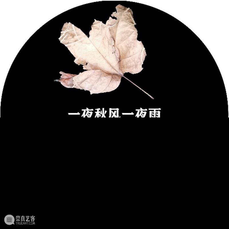 落叶与诗句一起“飘落”,四平路这条“诗歌单行道”登上热搜 诗歌 单行道 落叶 诗句 四平路 SUSAS 城市空间 艺术季 四平社区 艺术 崇真艺客