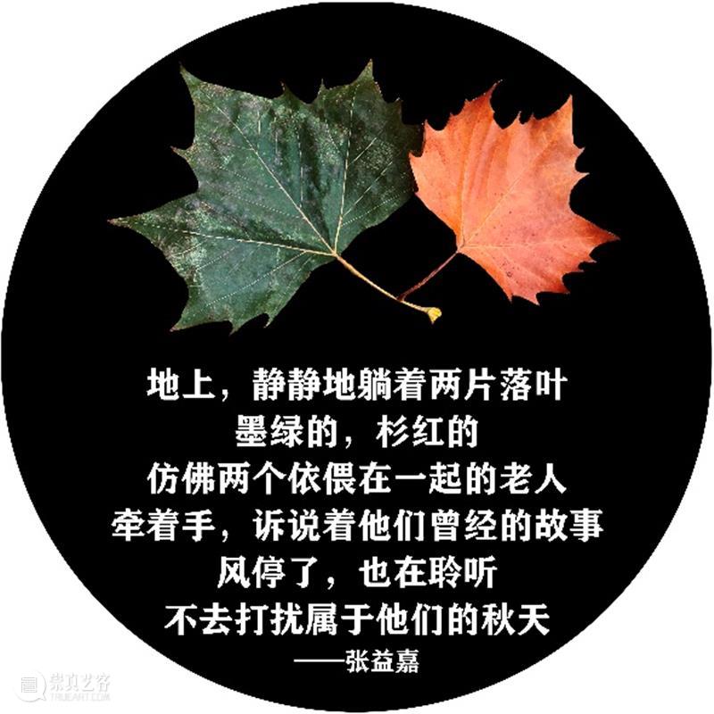 落叶与诗句一起“飘落”,四平路这条“诗歌单行道”登上热搜 诗歌 单行道 落叶 诗句 四平路 SUSAS 城市空间 艺术季 四平社区 艺术 崇真艺客