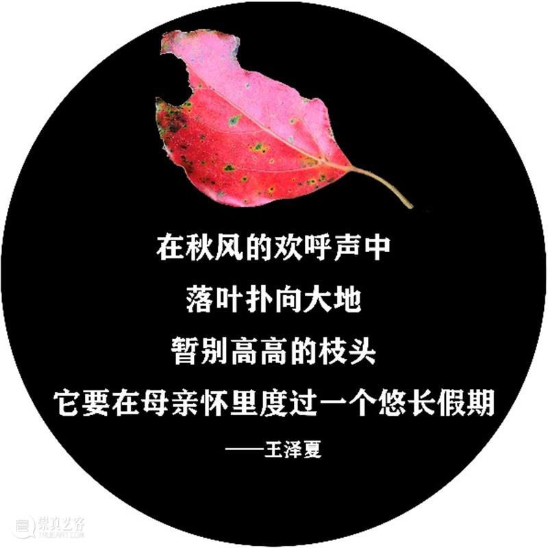 落叶与诗句一起“飘落”,四平路这条“诗歌单行道”登上热搜 诗歌 单行道 落叶 诗句 四平路 SUSAS 城市空间 艺术季 四平社区 艺术 崇真艺客