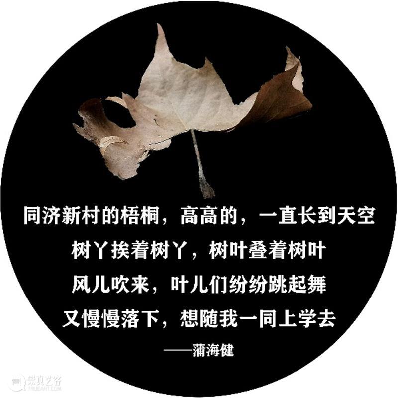 落叶与诗句一起“飘落”,四平路这条“诗歌单行道”登上热搜 诗歌 单行道 落叶 诗句 四平路 SUSAS 城市空间 艺术季 四平社区 艺术 崇真艺客