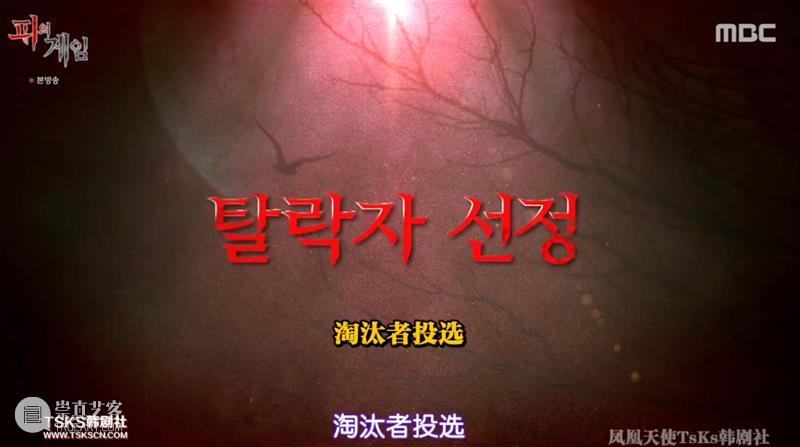 比《鱿鱼游戏》更刺激，这档新出综艺竟然敢来真的！ 鱿鱼游戏 综艺 韩剧 韩影 寄生虫 全球 奥斯卡 感官 共同点 金钱 崇真艺客