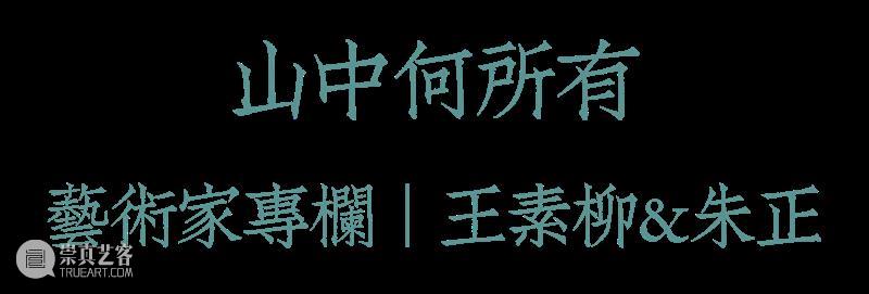 【山中】参展艺术家专栏｜王素柳&朱正 艺术家 专栏 王素柳 朱正 山中 山中何所有 林海钟 学生们 山水 作品 崇真艺客