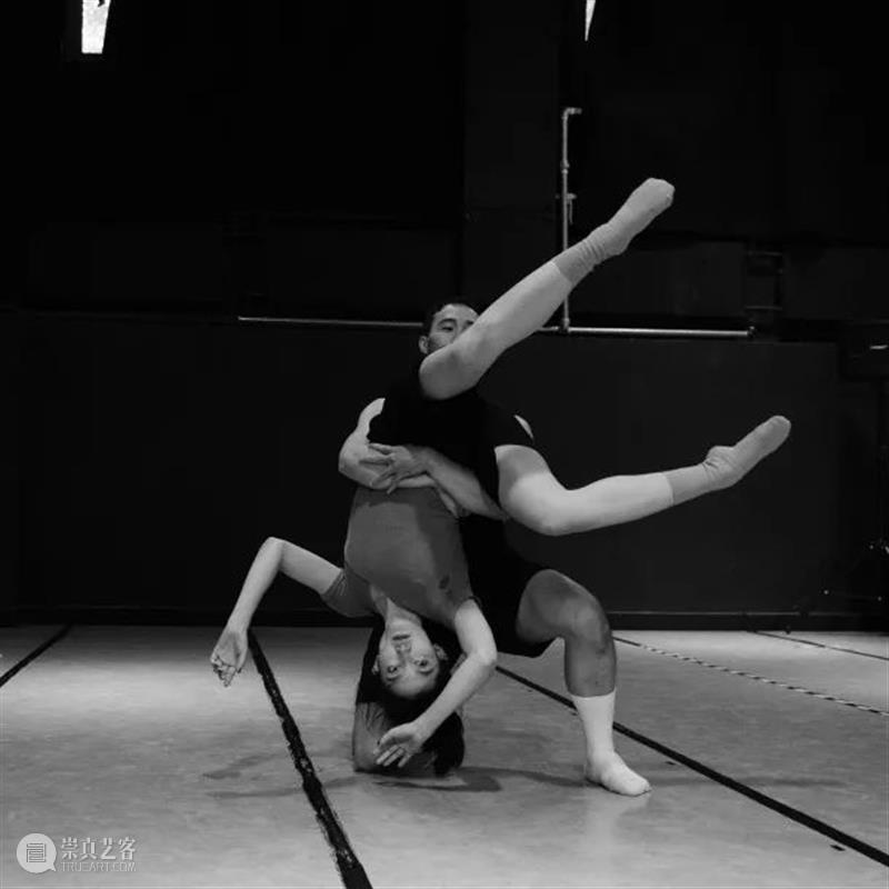 Available to purchase|Contemporary Dance “DU-K” 崇真艺客