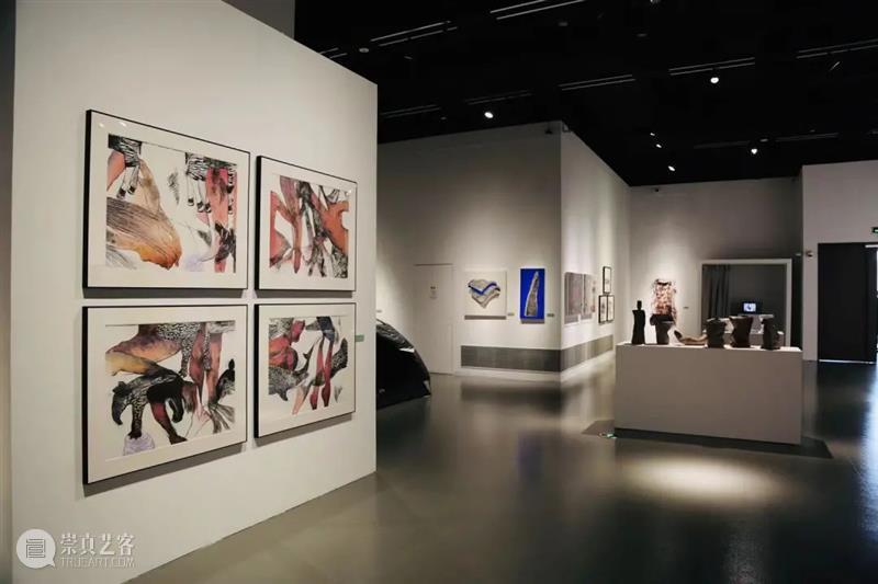 【新闻转载】丨以青春的名义——上海青年美展40年回望 青年 上海 美展 青春 名义 新闻 上海青年美术大展 刘海粟美术馆 作者 作品 崇真艺客