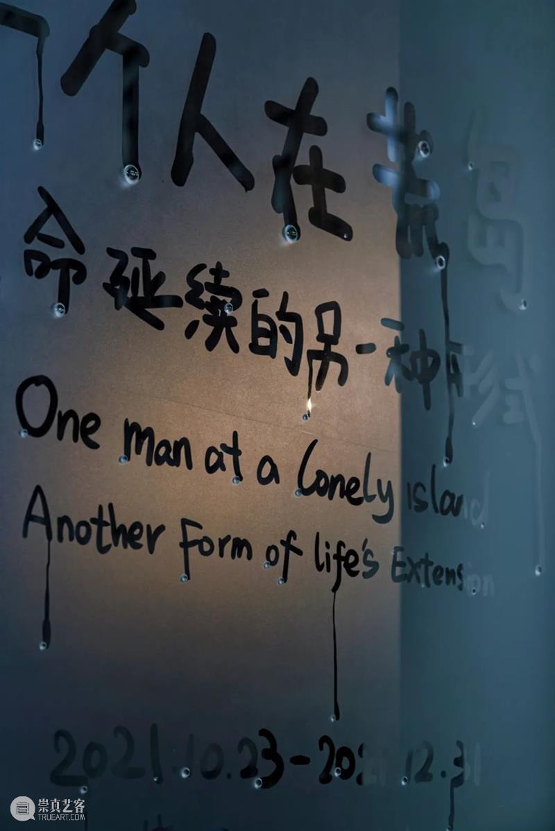一个人在荒岛｜孙月/野放计划 一个人 荒岛 计划 孙月 生命 形式 艺术 系列展 主题 线索 崇真艺客