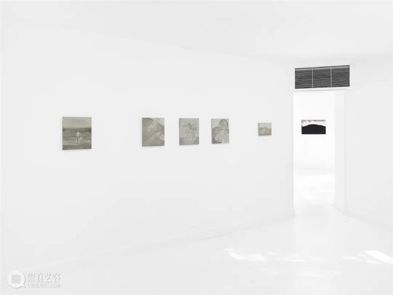 胶囊上海｜亚历山德罗·泰尔迪：烈日灼目｜展览现场 亚历山德罗 泰尔迪 胶囊 上海 烈日 现场 艺术家 个展 烈日灼目 当前 崇真艺客