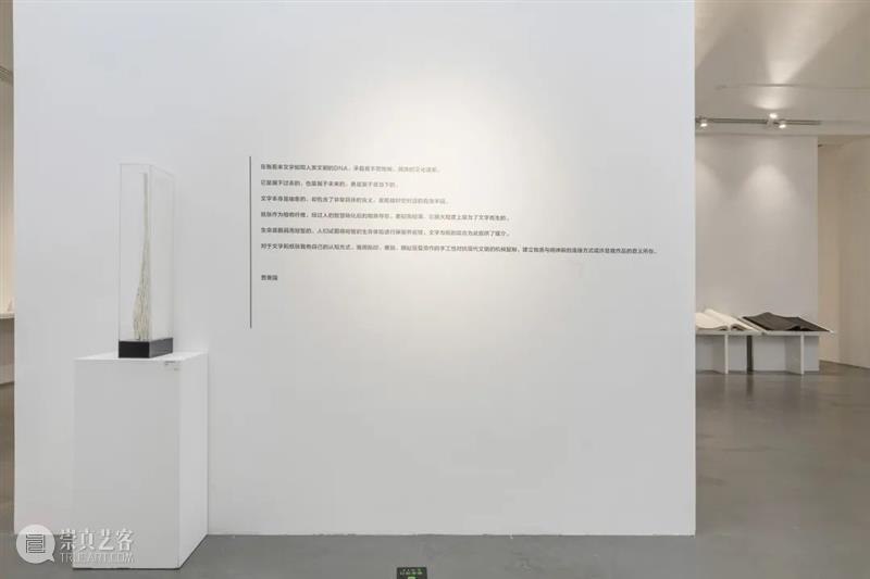 展览现场 | 贾善国作品展在798成当代艺术中心隆重开幕  “千层”指向传统与当代的厚度 千层 贾善国 当代 艺术 中心 现场 厚度 传统 作品展 工作与时日 崇真艺客