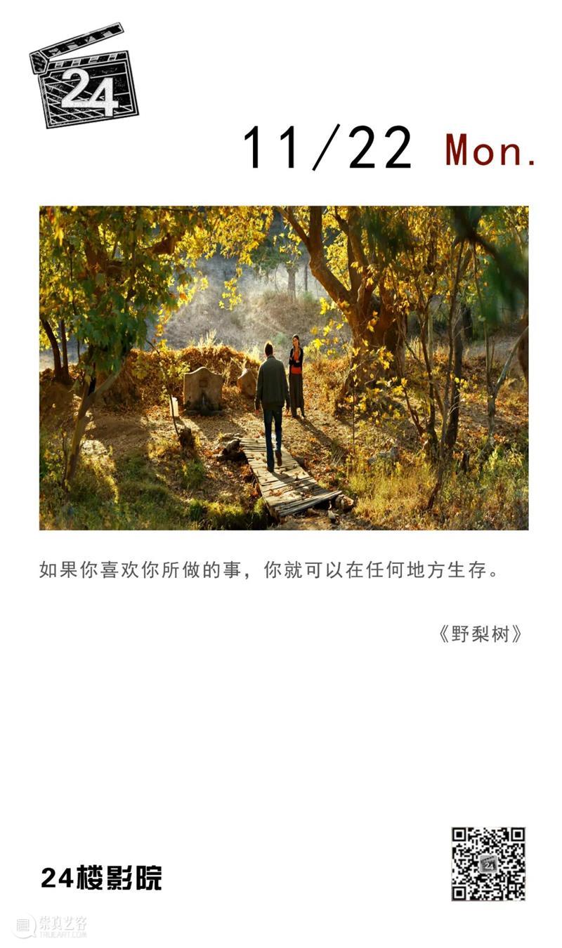 每日台词 | 喜欢你做的事,你就可以在任何地方生存 台词 任何地方 上方 影院 页面 右上 星标 崇真艺客