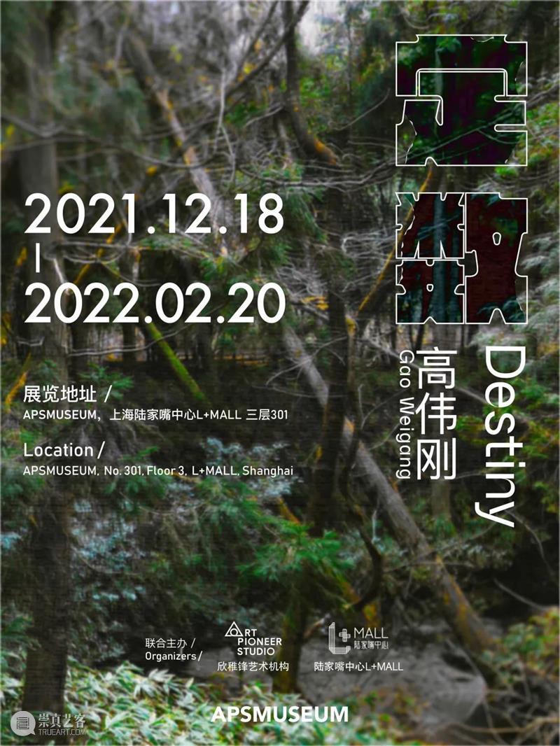 APSMUSEUM携手上海陆家嘴中心联合呈现冬季大展｜定数 上海陆家嘴中心 大展 定数 APSMUSEUM APSMUSEUM荣幸 MALL 艺术家 个展 形式 新年 崇真艺客