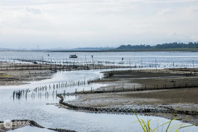 中国唯一的海洋民族是谁？ 民族 中国 海洋 风吹云 大路 脚印 海上 南部 沿海 越南 崇真艺客