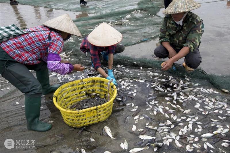 中国唯一的海洋民族是谁？ 民族 中国 海洋 风吹云 大路 脚印 海上 南部 沿海 越南 崇真艺客