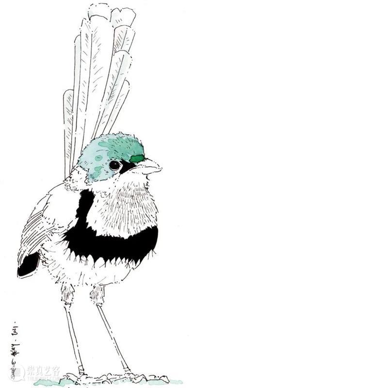 对点线面不理解的同学可以看看，运用到画面中效果不错 ~ 线面 同学 画面 效果 END 崇真艺客