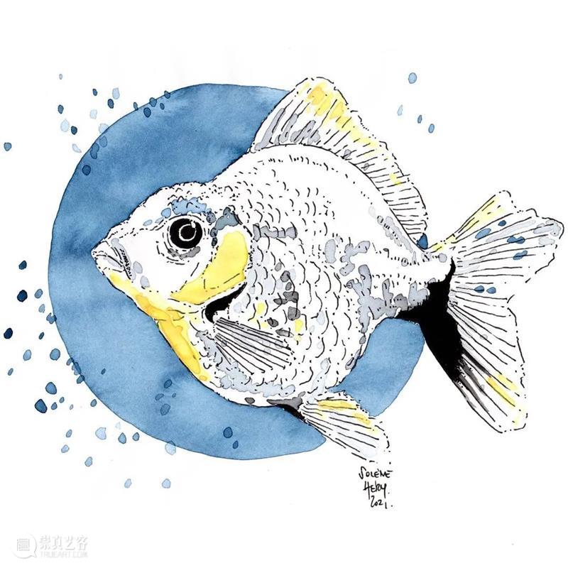 对点线面不理解的同学可以看看，运用到画面中效果不错 ~ 线面 同学 画面 效果 END 崇真艺客