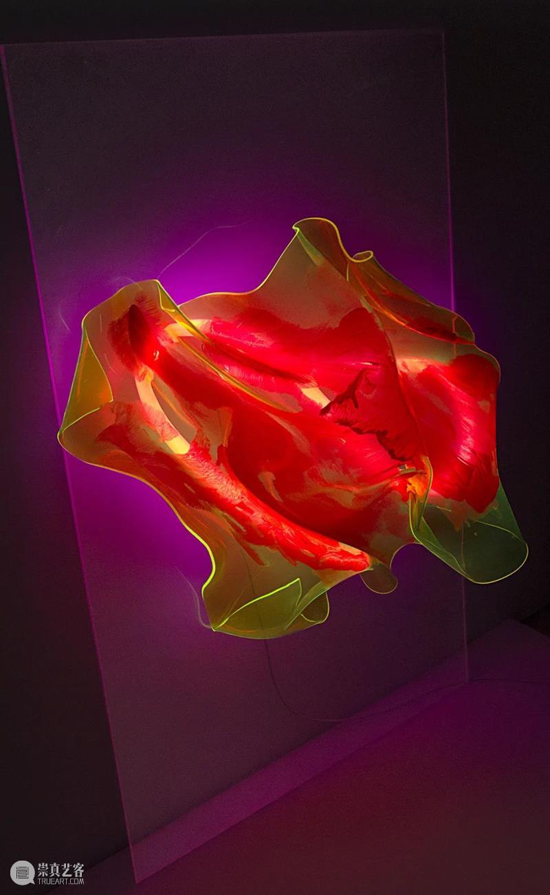 “莫扎特-基因:李继伟艺术展”即将开幕 莫扎特 基因 李继伟 艺术展 时间 地点 中央美术学院美术馆 大厅 奥地利 驻华大使馆 崇真艺客