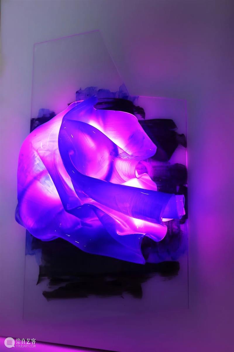 “莫扎特-基因:李继伟艺术展”即将开幕 莫扎特 基因 李继伟 艺术展 时间 地点 中央美术学院美术馆 大厅 奥地利 驻华大使馆 崇真艺客