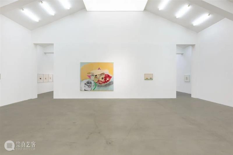 站台中国｜画册发布：王玉平《盐烤银杏》 王玉平 盐烤银杏 站台 中国 画册 个展 空间 媒介 绘画 一部分 崇真艺客