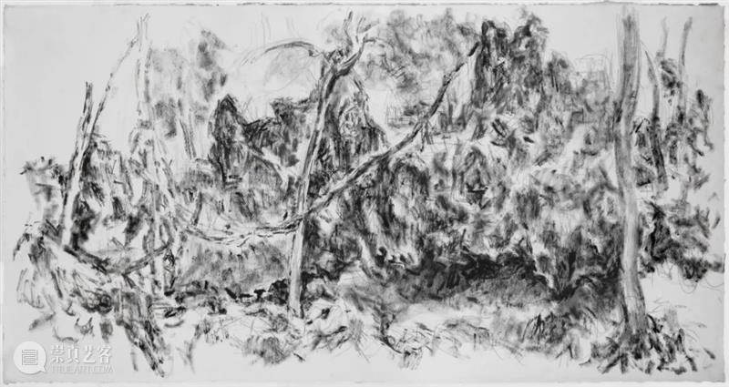 亚洲评论 | 许江：语殊情同  音静意浓 崇真艺客