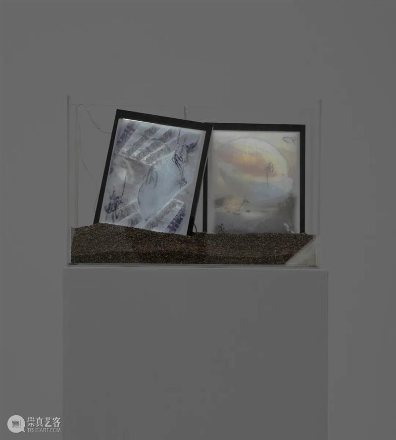 对话艺术家 ｜ 覃小诗：华南海盗、藏宝图和记忆未来 覃小诗 华南 海盗 藏宝图 未来 艺术家 风景 提喻法 Synecdoche Landscape 崇真艺客