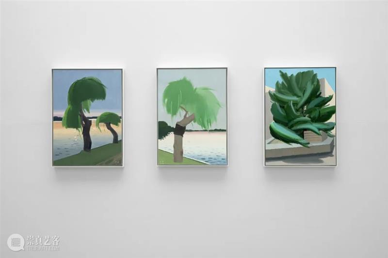 对话艺术家 ｜ 覃小诗：华南海盗、藏宝图和记忆未来 覃小诗 华南 海盗 藏宝图 未来 艺术家 风景 提喻法 Synecdoche Landscape 崇真艺客