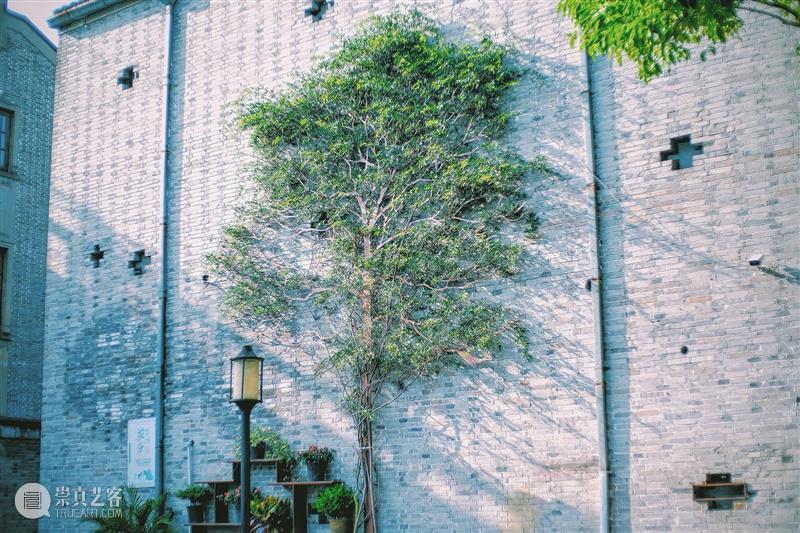 活动预告 | 记录历史中的光与影 ——宁波老外滩岸景摄影体验 历史 活动 宁波老外滩 光与影 岸景 外滩 印象 系列 公教 项目 崇真艺客