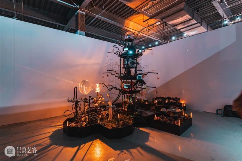 iArt 新展预告丨多元玩家，出现，出线！ 玩家 iArt 上下 以来 地球 风潮 艾尔莎 卡尔森 NASA 少女 崇真艺客