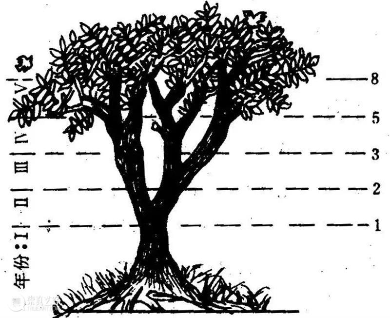陈量|光、叶序与圣字:贺勋的“黄金螺旋” 贺勋 螺旋 黄金 叶序 陈量 现场 忒路斯 海伦 胸脯 阿尔诺河 崇真艺客