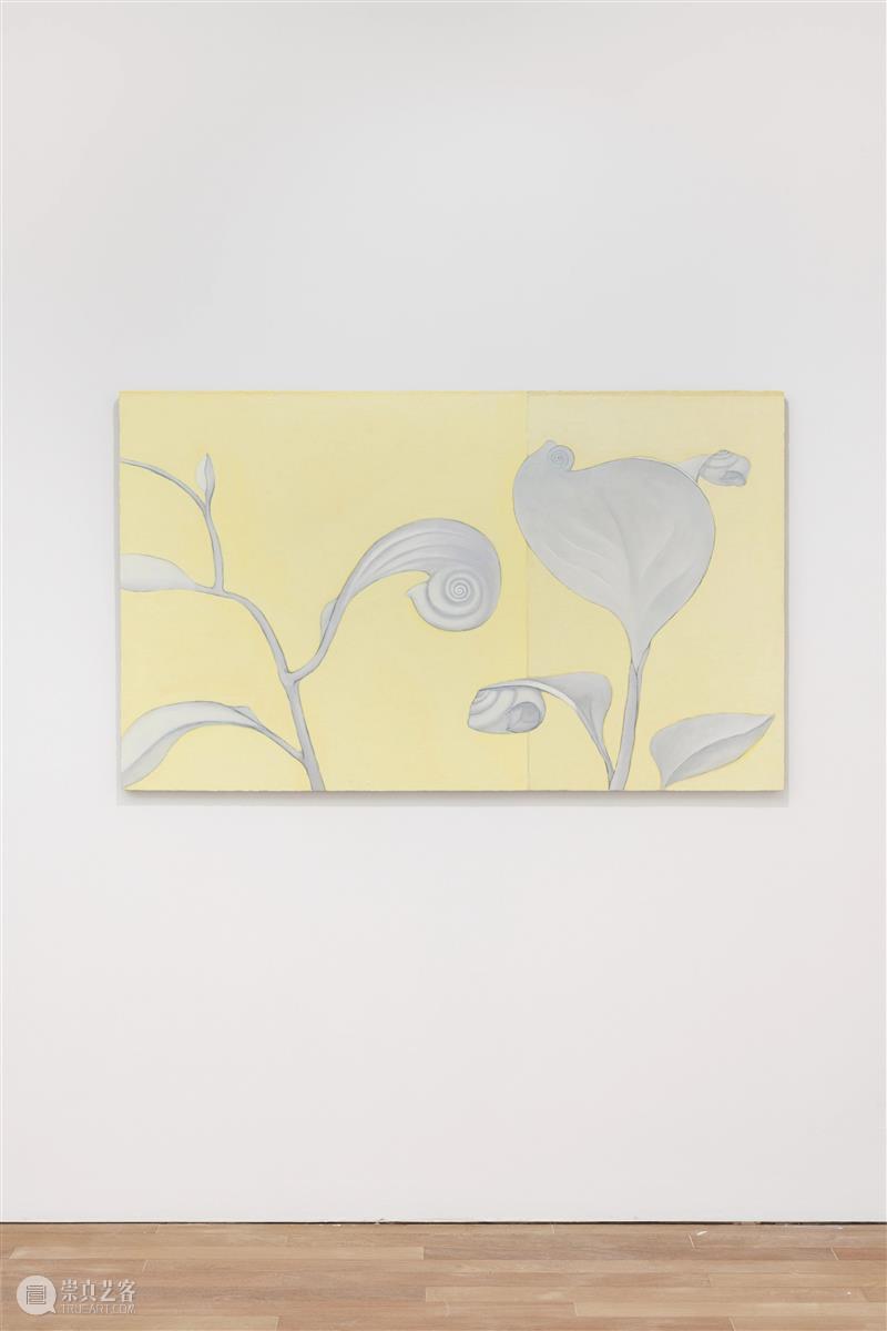 陈量|光、叶序与圣字:贺勋的“黄金螺旋” 贺勋 螺旋 黄金 叶序 陈量 现场 忒路斯 海伦 胸脯 阿尔诺河 崇真艺客