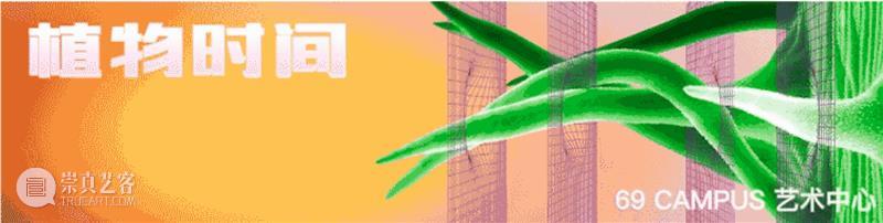 动态 | 关小近期展览现场 关小 现场 近期 动态 季节 屋子 Zeidler 小个展 于柏林 Kraupa 崇真艺客