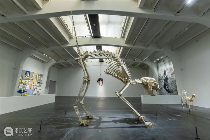 美术馆现场｜莫瑞吉奥 · 卡特兰在UCCA的个展“最后的审判” UCCA 莫瑞吉奥 卡特兰 个展 现场 美术馆 以下 内容 尤伦斯当代艺术中心 作者 崇真艺客