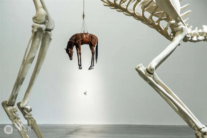 美术馆现场｜莫瑞吉奥 · 卡特兰在UCCA的个展“最后的审判” UCCA 莫瑞吉奥 卡特兰 个展 现场 美术馆 以下 内容 尤伦斯当代艺术中心 作者 崇真艺客
