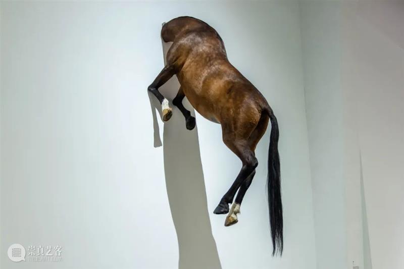 美术馆现场｜莫瑞吉奥 · 卡特兰在UCCA的个展“最后的审判” UCCA 莫瑞吉奥 卡特兰 个展 现场 美术馆 以下 内容 尤伦斯当代艺术中心 作者 崇真艺客