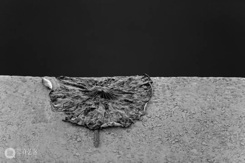 观看当代艺术中心｜实相慕 · 北地艺术展 北地 当代 艺术 中心 艺术展 编辑 推荐语 物象 尘世 皮囊 崇真艺客