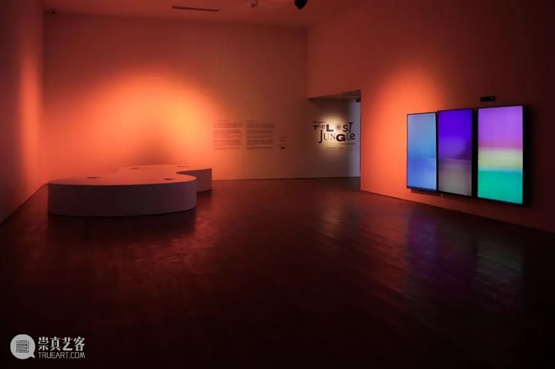 ≡ 特罗拉马 | 个展“失落的丛林” | 马来世界现当代艺术博物馆 丛林 世界 当代艺术博物馆 个展 罗拉 现场 马来 雅加达 MACAN Jakarta 崇真艺客